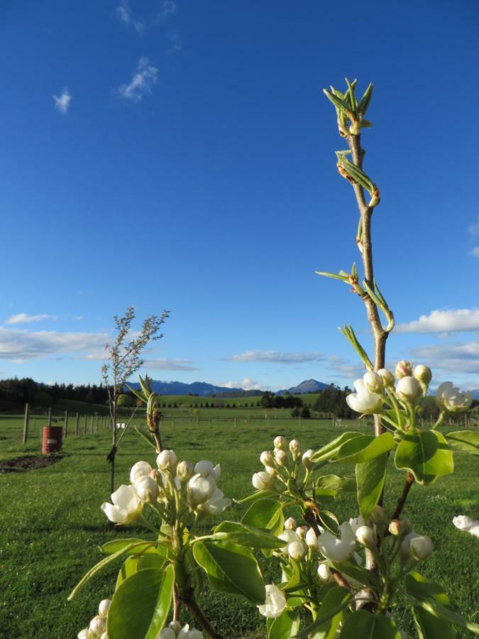 Quiet Studio In Paradise Wanaka Exteriör bild